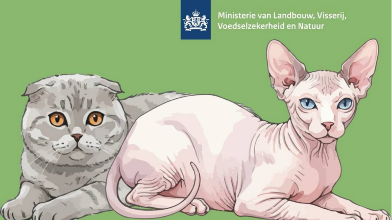 Verbod op naaktkatten en vouwoorkatten: wat betekent dit voor jou?